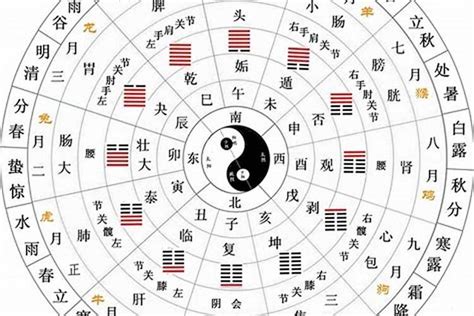 阴金|易经的五行，何为阳金？何为阴金？何为阳木？何为阴木